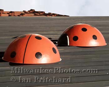 Photograph of LadyBugs from www.MilwaukeePhotos.com (C) Ian Pritchard